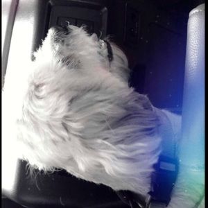 Meet your Posher, Natalia